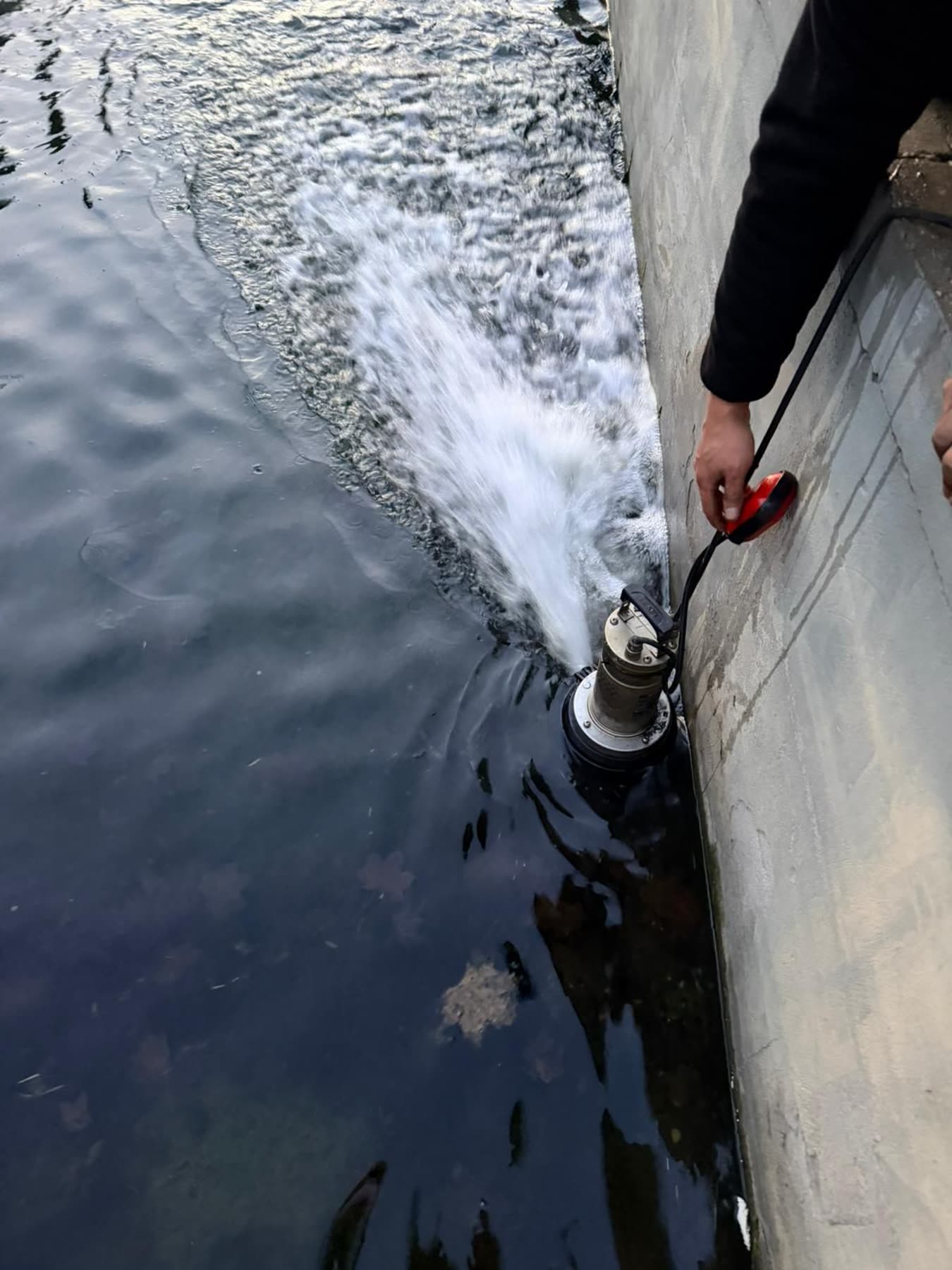 Essai d'une pompe de relevage dans l'eau avant remise en service